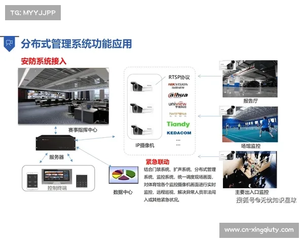 由于数字权益与算法模型深度耦合 体育内容商业化正拓展出价值释放新路径
